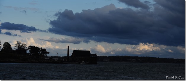 2020 5 13 Tulips at Blvd 002