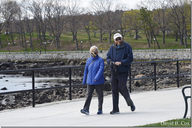 2020 5 13 Tulips at Blvd 039