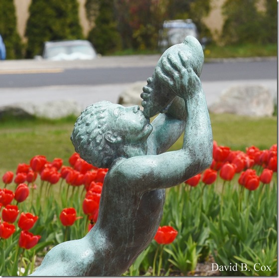 2020 5 13 Tulips at Blvd 047