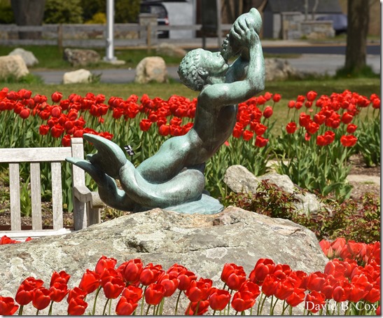 2020 5 13 Tulips at Blvd 051