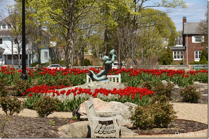 2020 5 13 Tulips at Blvd 055