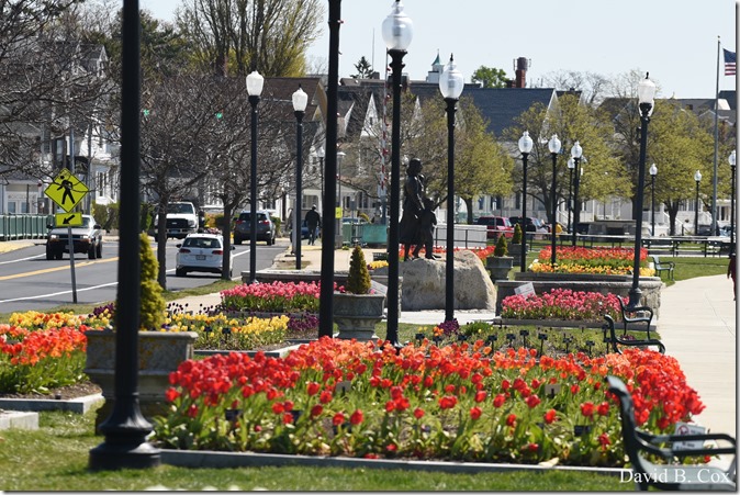 2020 5 13 Tulips at Blvd 089