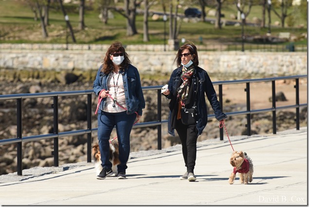 2020 5 13 Tulips at Blvd 101