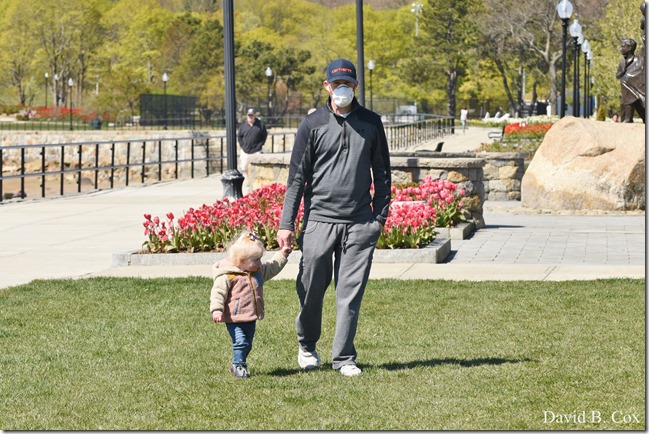 2020 5 13 Tulips at Blvd 107