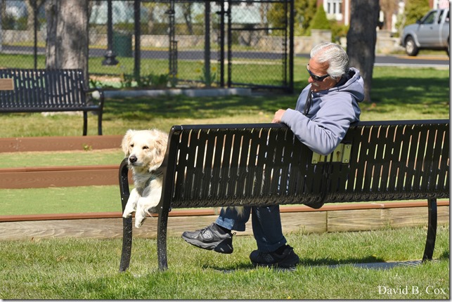 2020 5 13 Tulips at Blvd 113