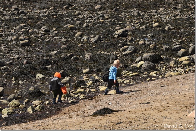 2020 5 13 Tulips at Blvd 115