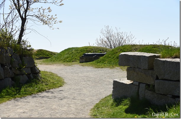 2020 5 13 Tulips at Blvd 124