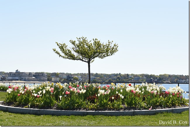 2020 5 14 Blvd. Again 009