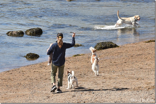 2020 5 14 Blvd. Again 012