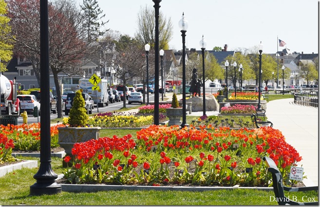 2020 5 14 Blvd. Again 021