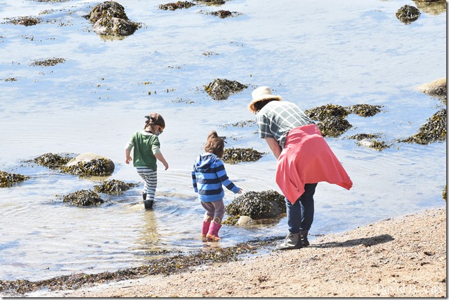 2020 5 14 Blvd. Again 038