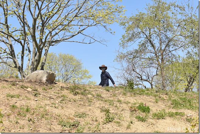 2020 5 14 Blvd. Again 052