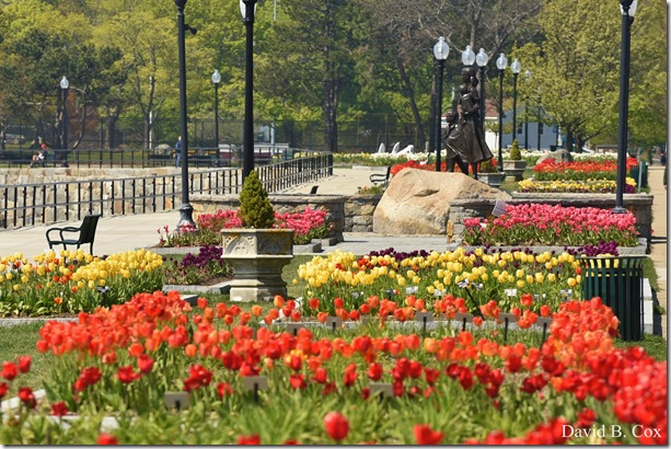 2020 5 16 Walking the Blvd Again 057