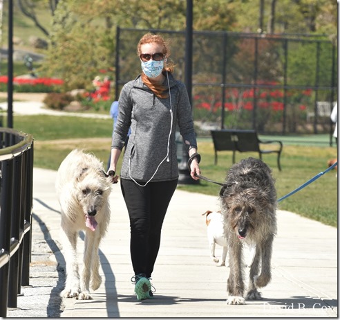 2020 5 16 Walking the Blvd Again 080