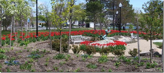 2020 5 18 Cannon Several Days 018