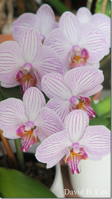 2020 5 18 Cannon Several Days 037