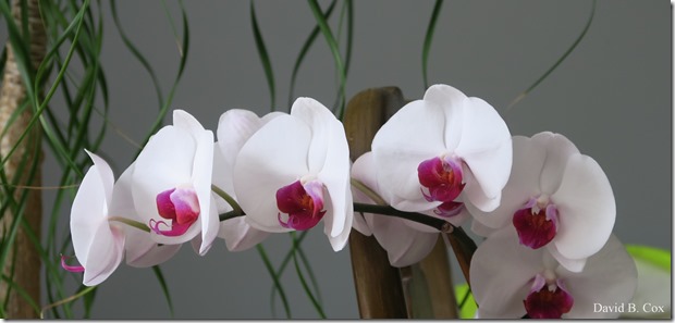 2020 5 18 Cannon Several Days 040