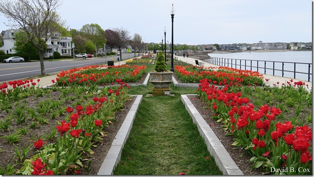 2020 5 18 Cannon Several Days 056