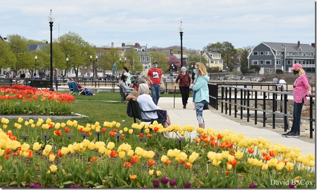 2020  5 18 Misc Walks & Spring Fun 005