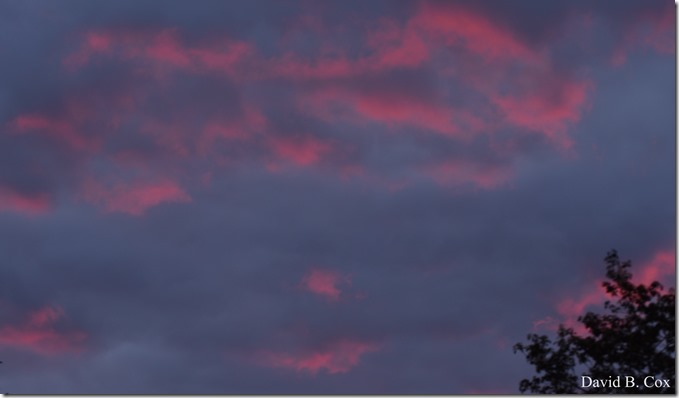 2020  5 18 Misc Walks & Spring Fun 028