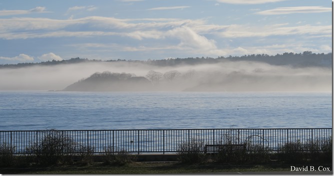 2020 5 2 cannon misc Blvd fog 019