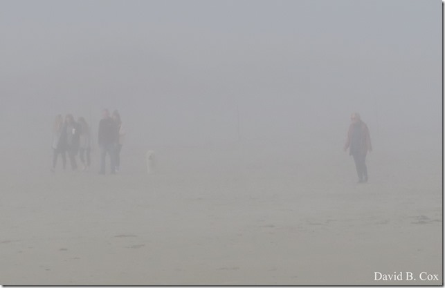 2020 5 2 cannon misc Blvd fog 036