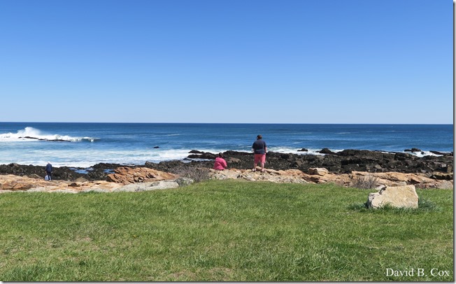 2020 5 2 cannon misc Blvd fog 038