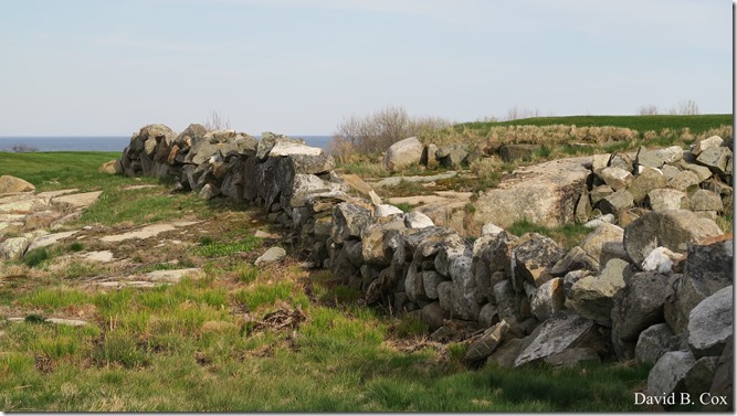 2020 5 2 cannon misc Blvd fog 045