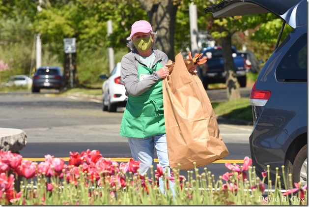 2020 5 21 Walks Boulevard D750 022