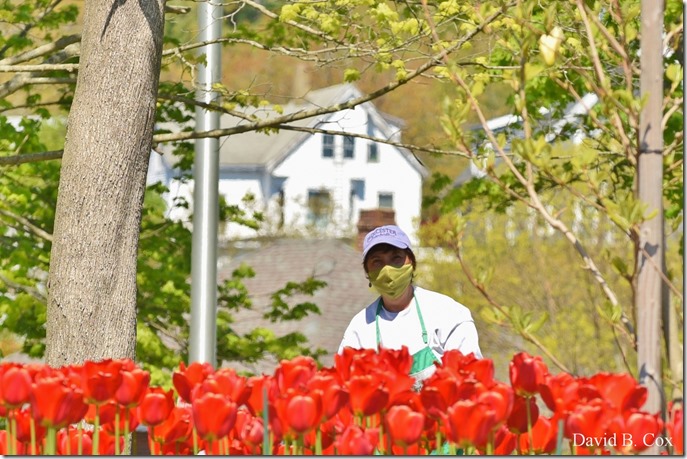 2020 5 21 Walks Boulevard D750 040