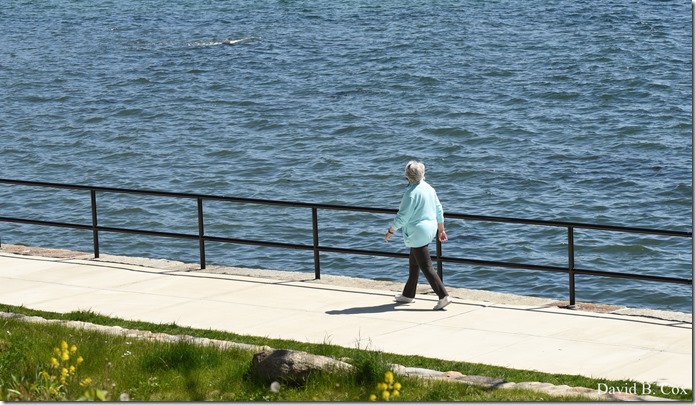 2020 5 21 Walks Boulevard D750 076