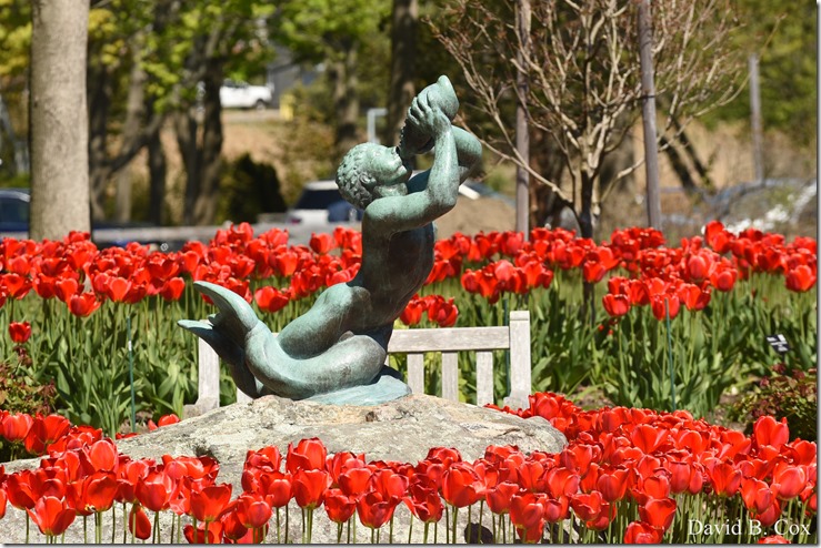 2020 5 21 Walks Boulevard D750 081