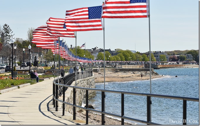 2020 5 21 Walks Boulevard D750 093