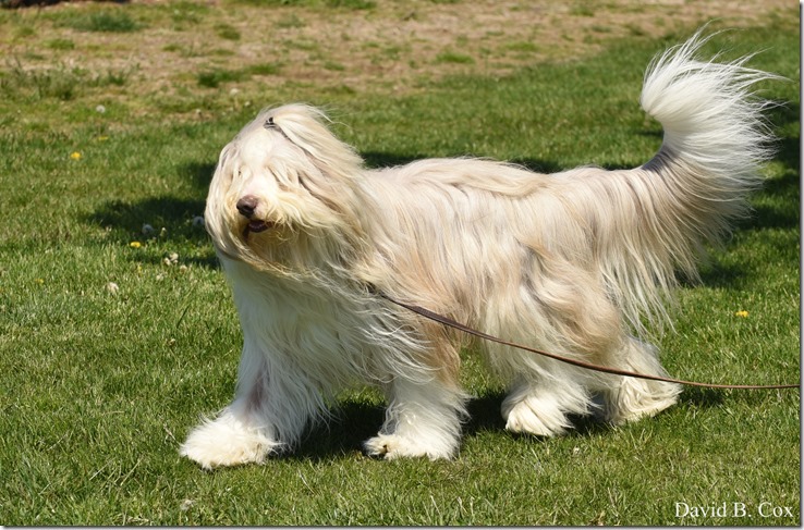 2020 5 21 Walks Boulevard D750 136