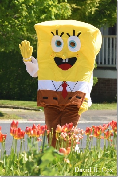 2020 5 23 Misc walks & beach 008