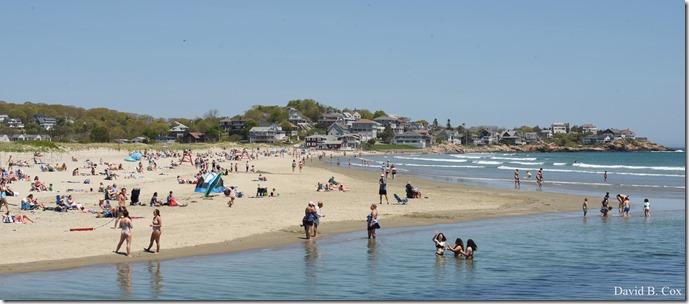 2020 5 23 Misc walks & beach 078