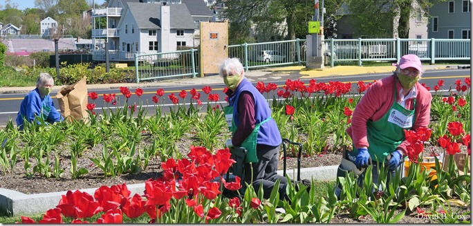 2020 5 25 Cannon Misc Several Days 002