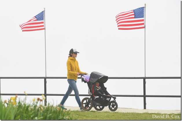 2020 5 26 Foggy Day at Blvd 013