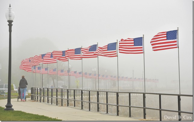 2020 5 26 Foggy Day at Blvd 017