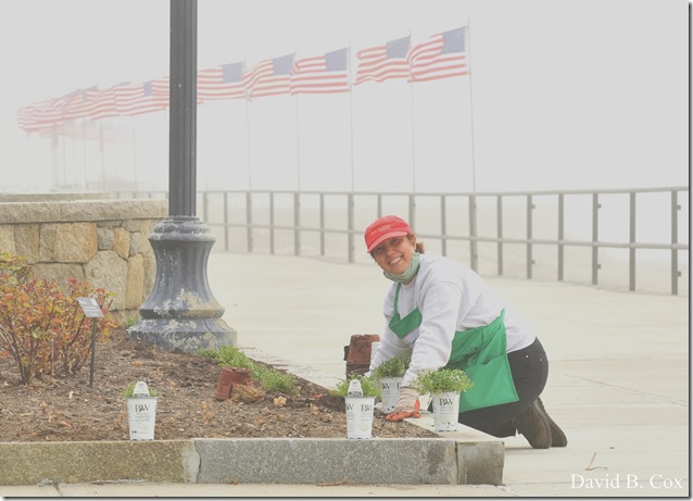 2020 5 26 Foggy Day at Blvd 032