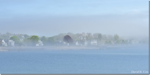 2020 5 26 Foggy Day at Blvd 052