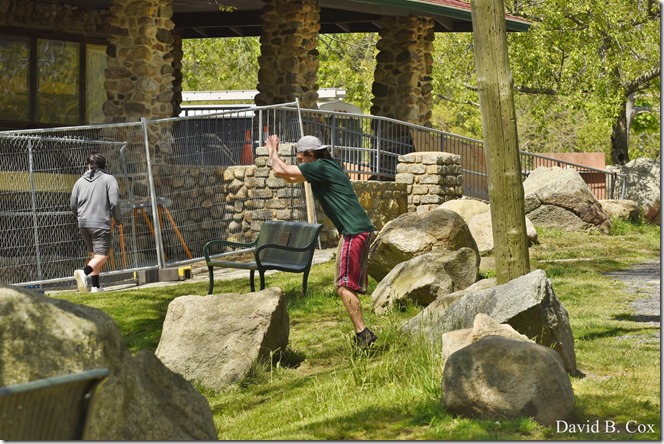 2020 5 26 Foggy Day at Blvd 062