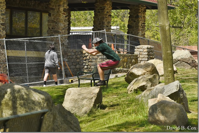 2020 5 26 Foggy Day at Blvd 064