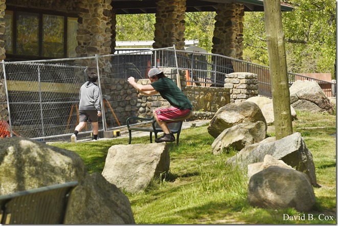 2020 5 26 Foggy Day at Blvd 065