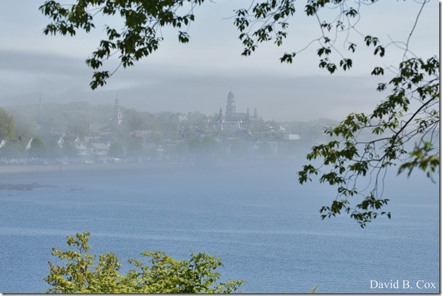 2020 5 26 Foggy Day at Blvd 070