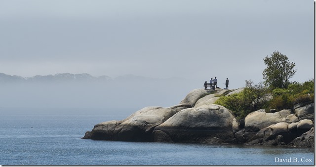 2020 5 26 Foggy Day at Blvd 107