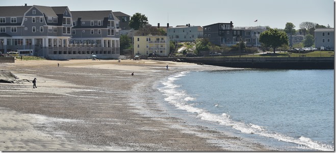 2020 5 28 Walks Blvd 008