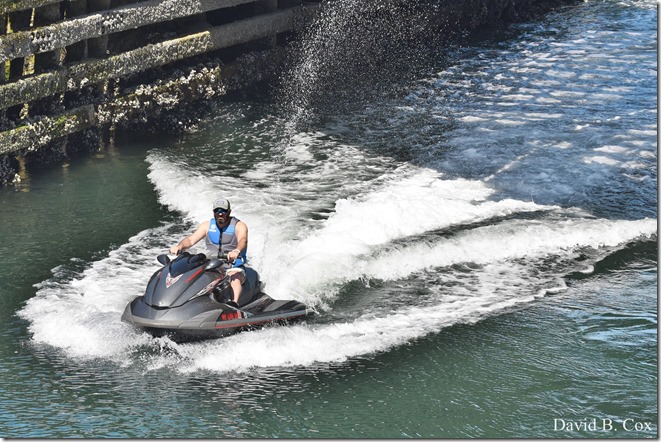 2020 5 28 Walks Blvd 018