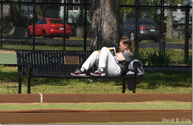 2020 5 28 Walks Blvd 026