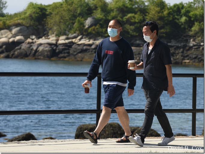 2020 5 28 Walks Blvd 030